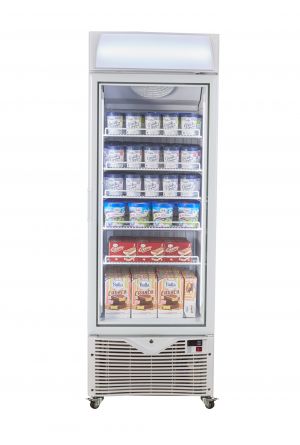 Best Upright Ice-Cream Freezer Showcase KSF-450W